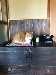 戸を洗う_f0363168_10511053.png