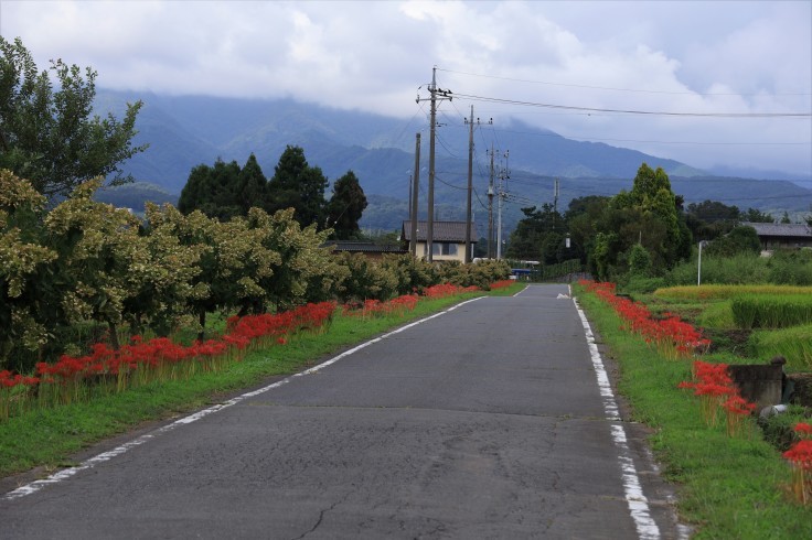 ヒガンバナと赤城山 (2021/9/16撮影)_b0369971_15421456.jpg