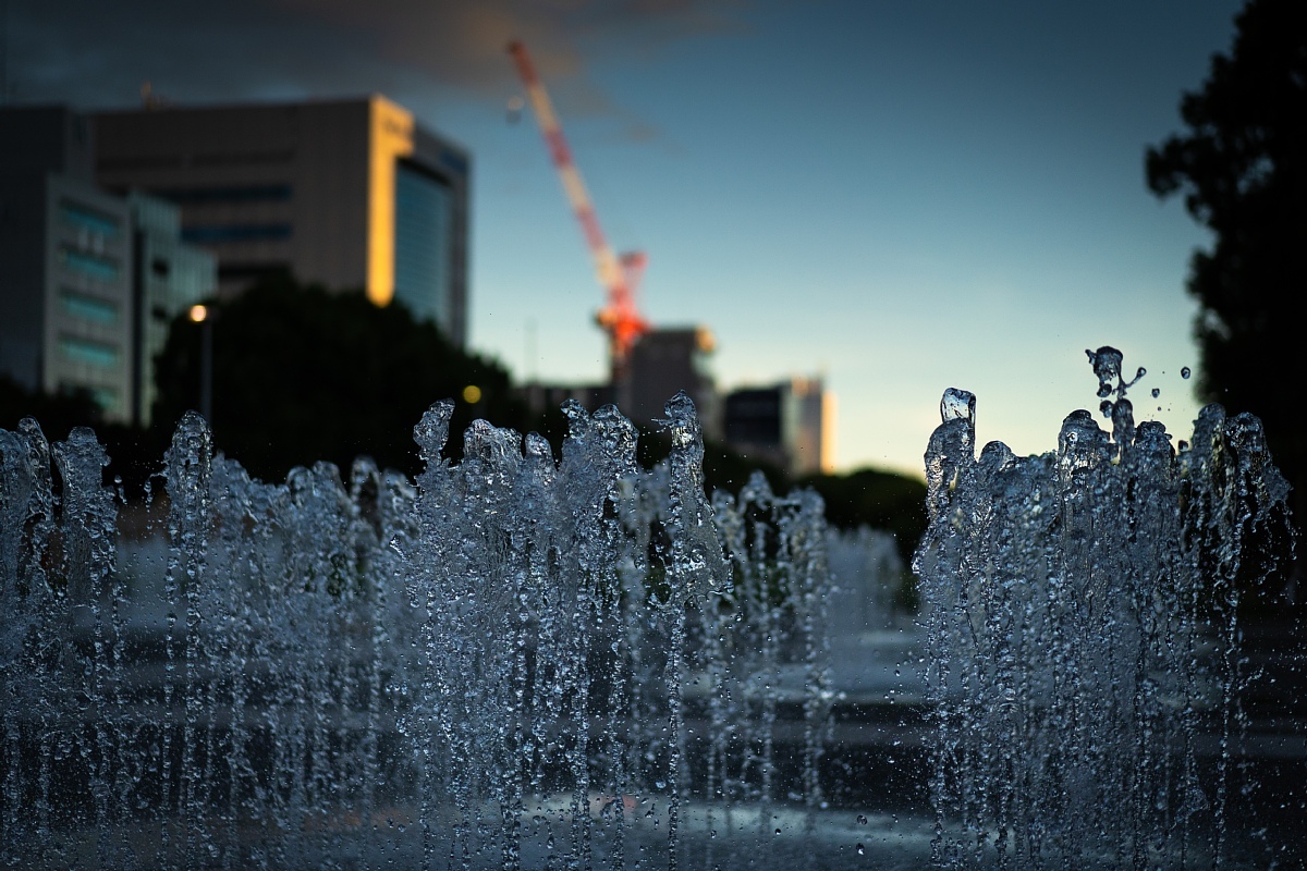 名残惜し気に歩き去る夏_d0353489_19593879.jpg