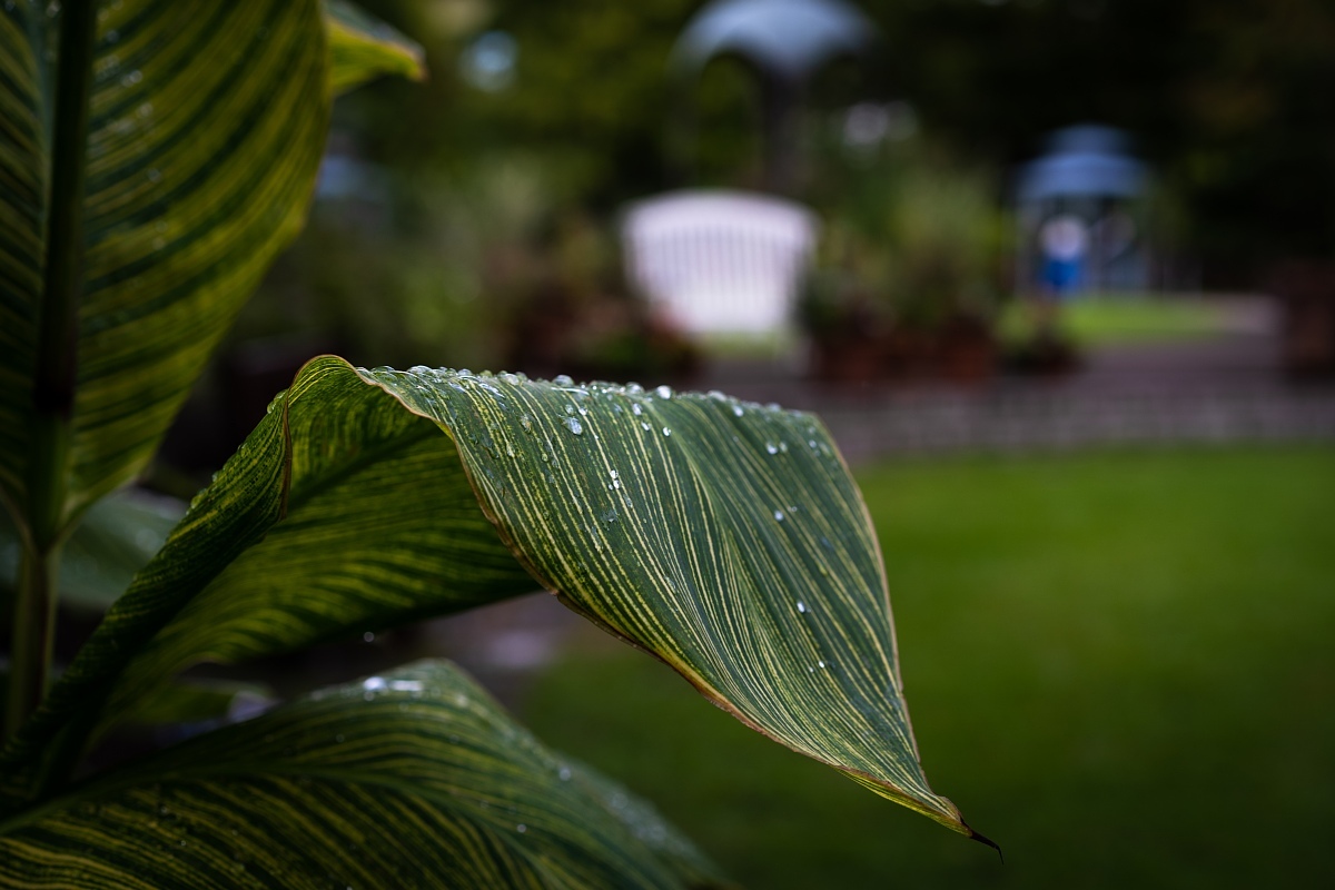 雨が止んだ初秋の都市公園_d0353489_23162162.jpg