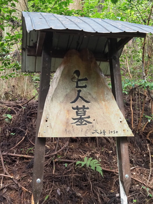 大峯山登山（西大峯山登山口ー西大峯山ー大峯山ー下川上登山口）_c0116915_00055889.jpg