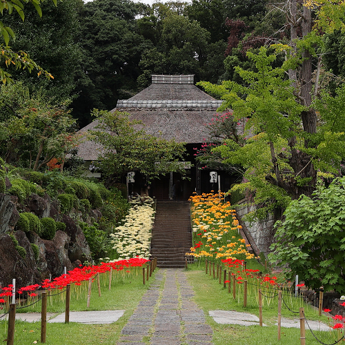 中秋の横浜 －西方寺（前編）－_b0169330_17584281.jpg