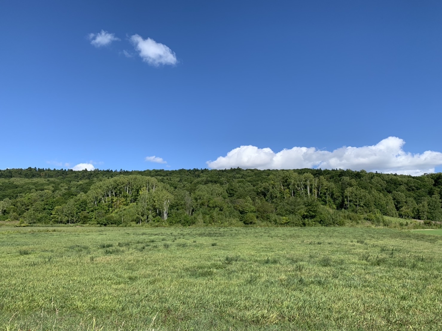 Tartaruga 北海道　朱鞠内湖　輪行キャンプツーリング　_d0197762_15140627.jpeg