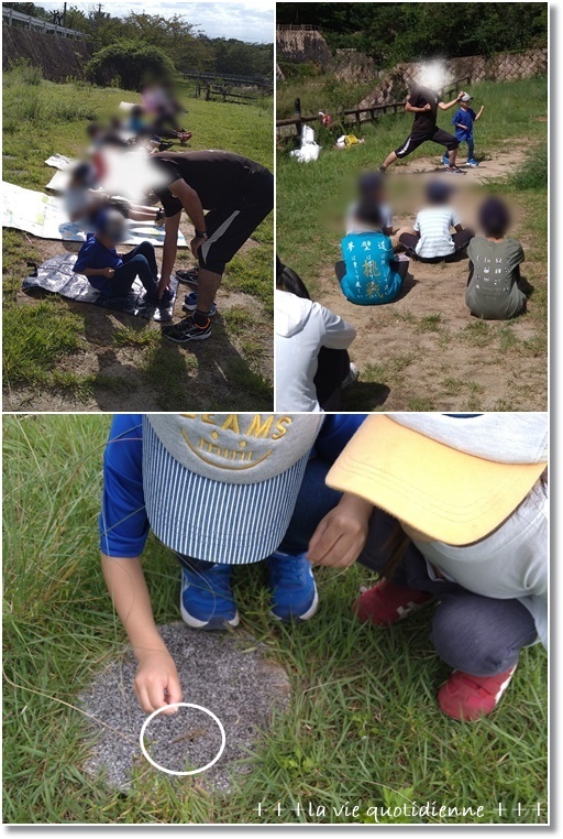 【つくれぽ1000件達成!】大葉味噌と4歳王子の誕生日前祝いにビッグボーイで♪_a0348473_08011650.jpg