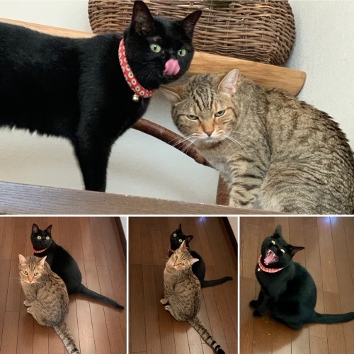 オヤツ組合_e0358096_18175059.jpeg