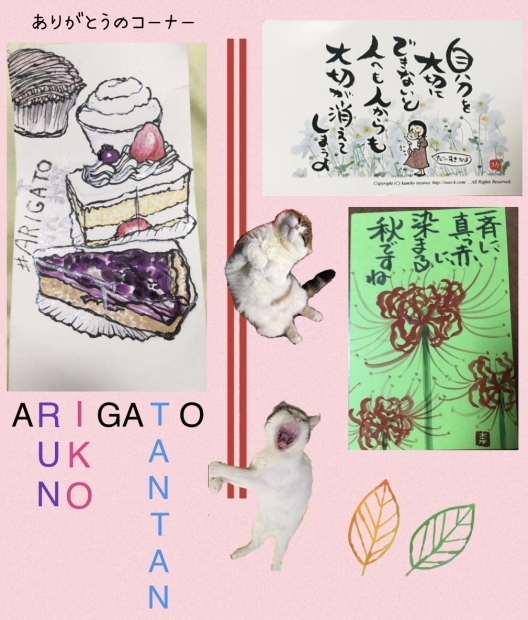 どじょうすくい くうちゃん_f0375804_19182092.jpg