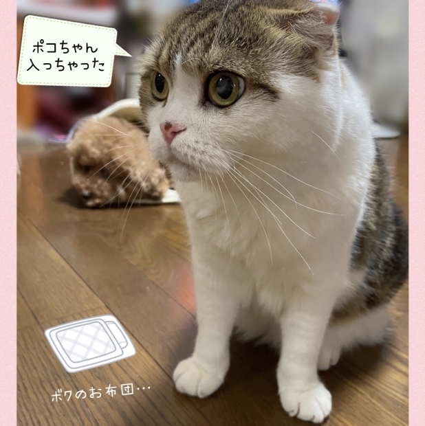 どじょうすくい くうちゃん_f0375804_19231405.jpg