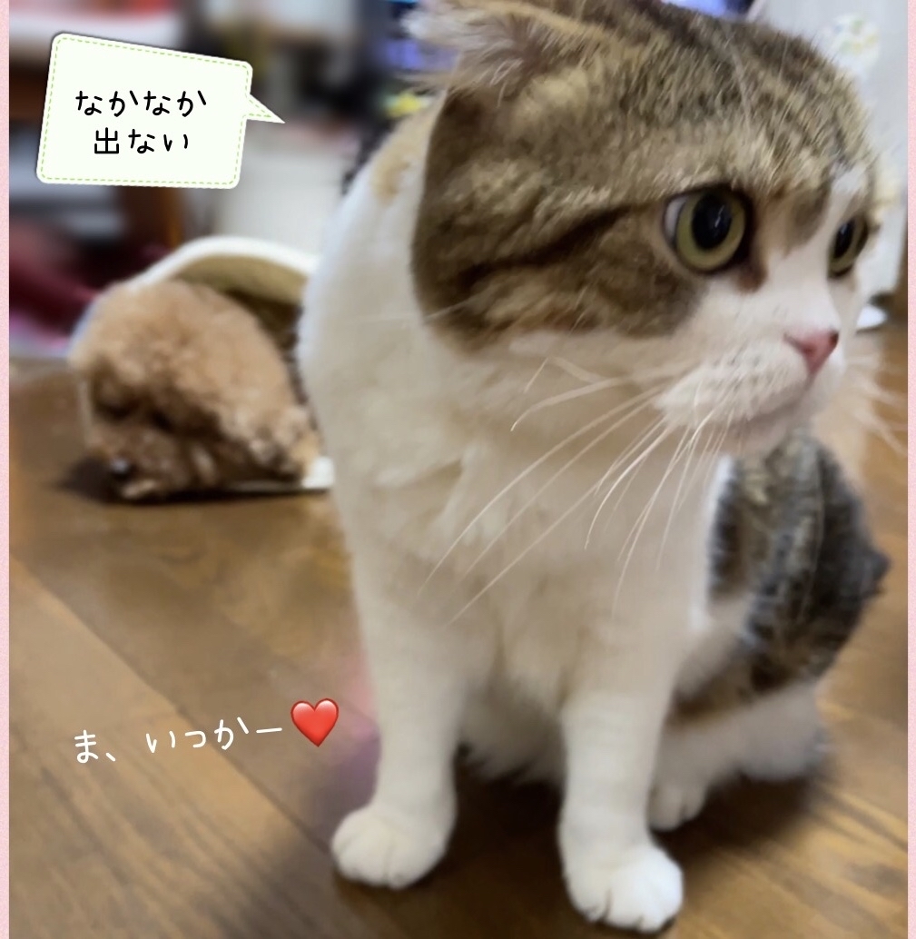 どじょうすくい くうちゃん_f0375804_19231406.jpg