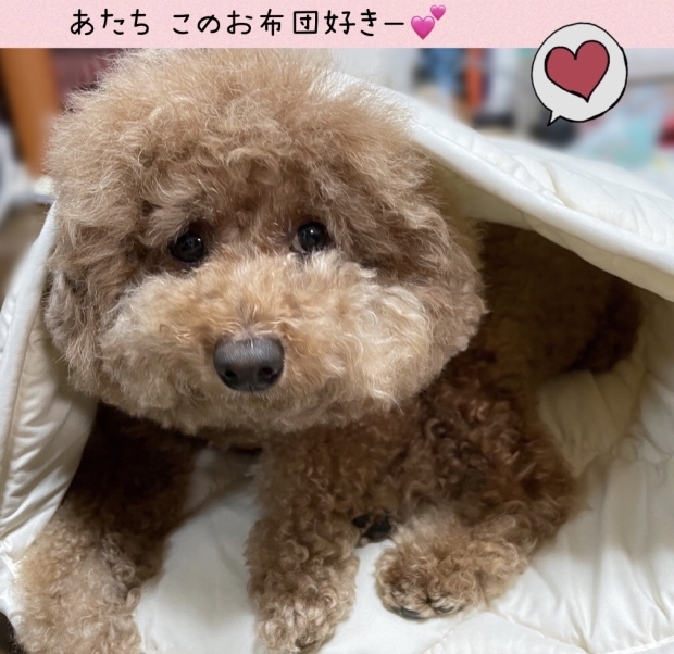 どじょうすくい くうちゃん_f0375804_19231641.jpg