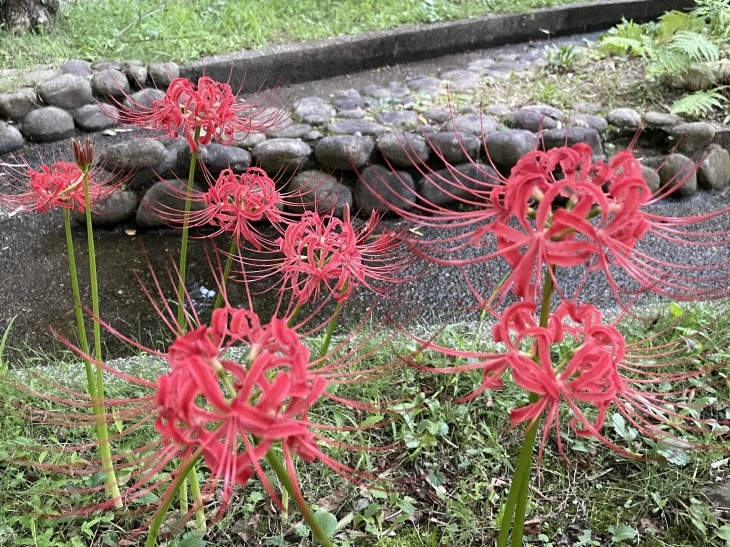バランスが大事 NO.754_c0102513_14282318.jpeg