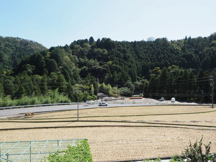 晴れたり曇ったり_c0116915_23405475.jpg