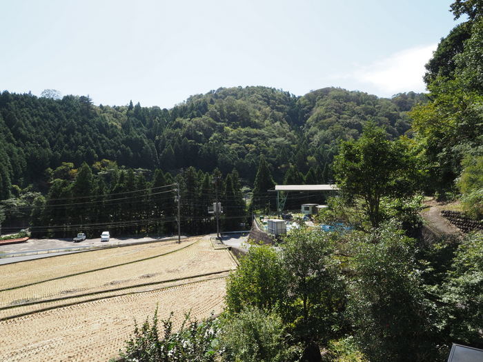 晴れたり曇ったり_c0116915_23410261.jpg