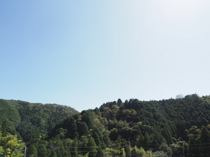 晴れたり曇ったり_c0116915_23413483.jpg