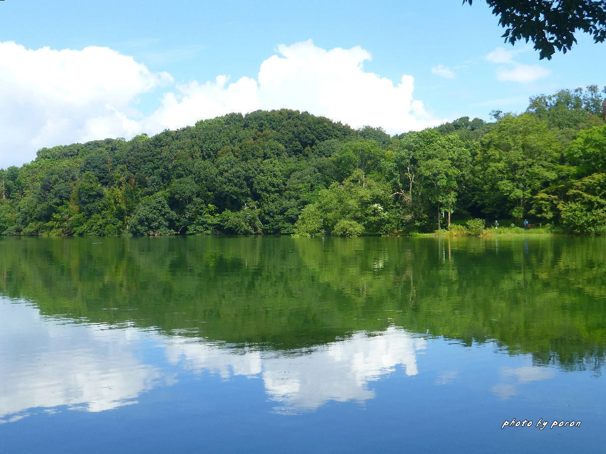 山田池公園・初秋１０選_c0137342_20115017.jpg