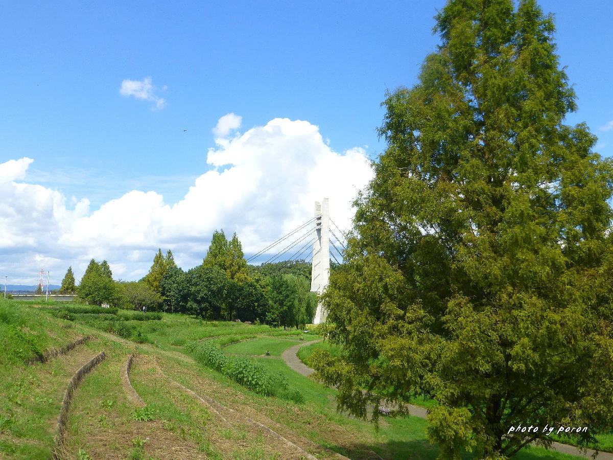 山田池公園・初秋１０選_c0137342_20184852.jpg