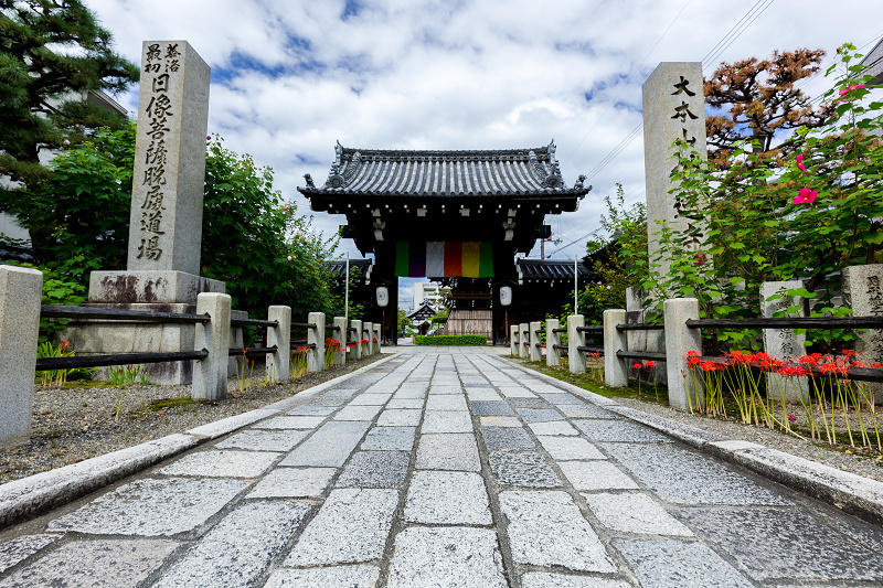 2021彼岸花の咲く風景 妙蓮寺 : 花景色－K.W.C. PhotoBlog