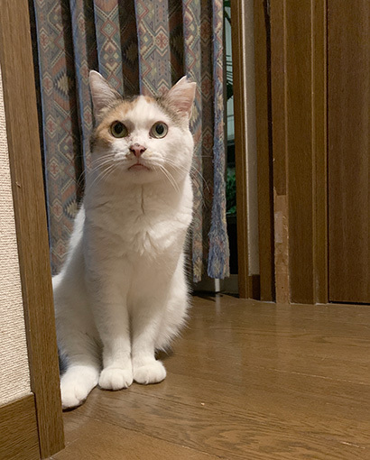 今日も1階_a0028451_15460278.jpg