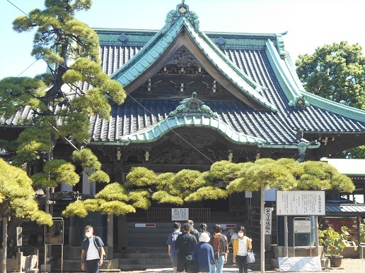 令和3年9月日葛飾 宝蔵院 柴又 水元公園彼岸花 あんらく山ある記