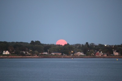 Harvest Moon_c0353373_10201357.jpg