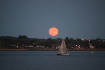 Harvest Moon_c0353373_10201485.jpg