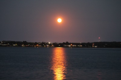 Harvest Moon_c0353373_10201489.jpg