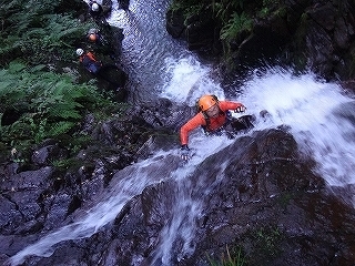 石徹白川支流イワナ谷から岩穴谷山1231.4m（もう一本あったイワナ谷！）_e0064783_14392599.jpg