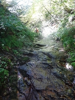 石徹白川支流イワナ谷から岩穴谷山1231.4m（もう一本あったイワナ谷！）_e0064783_14415665.jpg