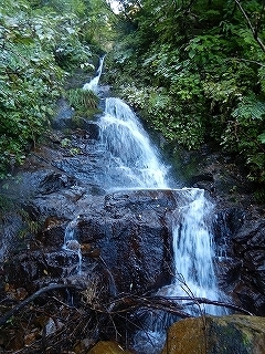 石徹白川支流イワナ谷から岩穴谷山1231.4m（もう一本あったイワナ谷！）_e0064783_14441750.jpg