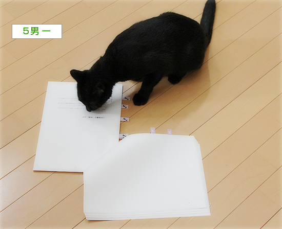 ゲラチェック終わり!_a0389088_17095191.jpg