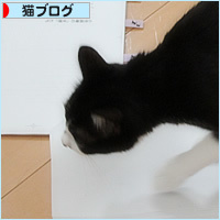 ゲラチェック終わり!_a0389088_17095282.jpg