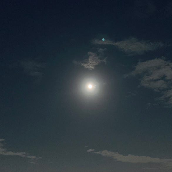 おなじ月をみていたよ&#127773;_f0143188_22272152.jpg
