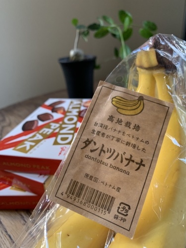 全国のrummyファンの皆さま ラムショコラの季節到来です_a0134394_07445770.jpeg