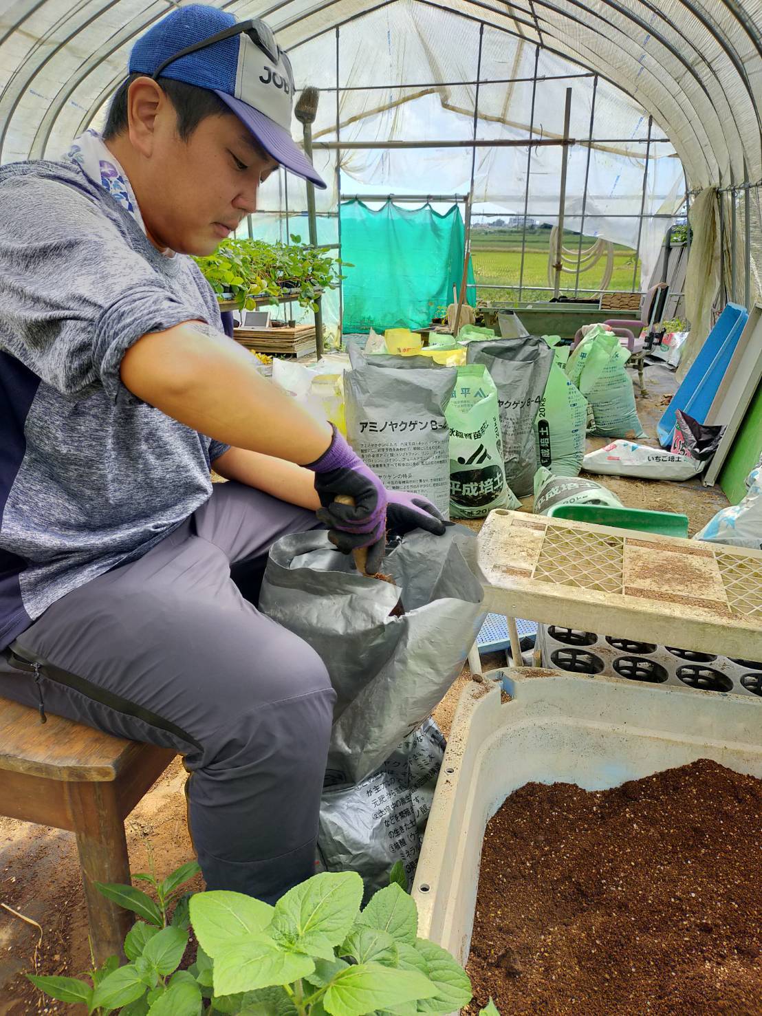 地域貢献型地福・農福連携請負作業　イチゴ定植作業など_e0270198_17135956.jpg