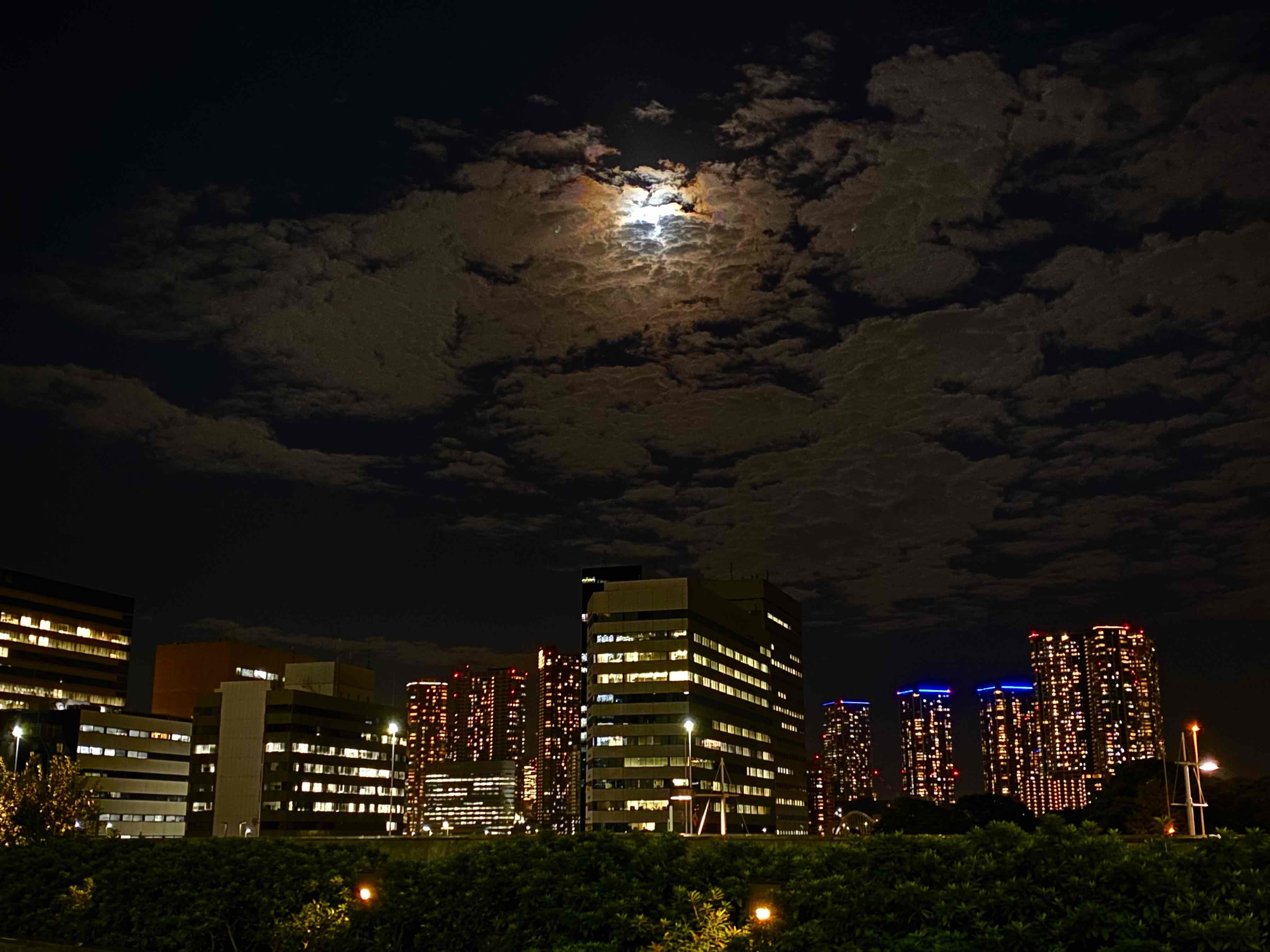 秋夜のうさぎ ～清閑院～_a0169902_09525794.jpg