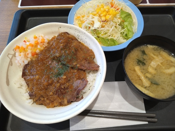 9 22 松屋 ビフテキ丼香味ジャポネソース彩り生野菜サラダセット 850 無駄遣いな日々