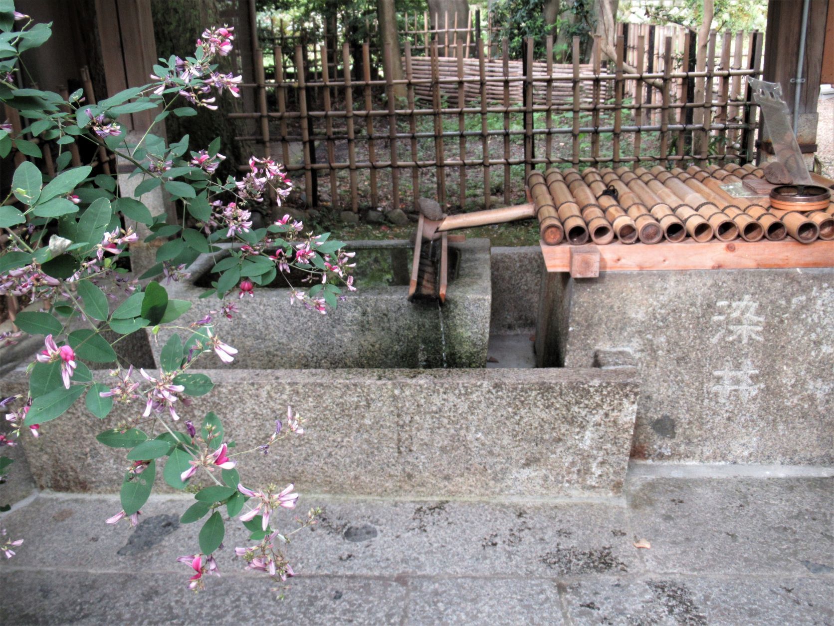 梨木神社　萩の社_e0048413_21565239.jpg