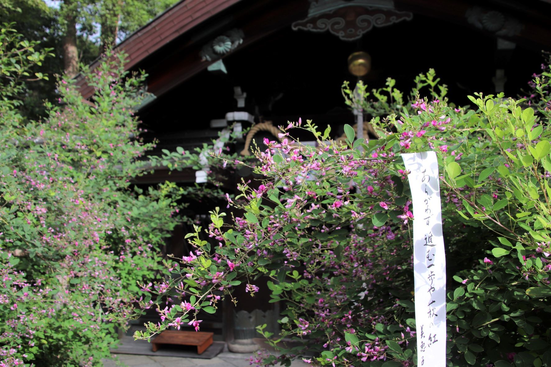 梨木神社　萩の社_e0048413_21571006.jpg