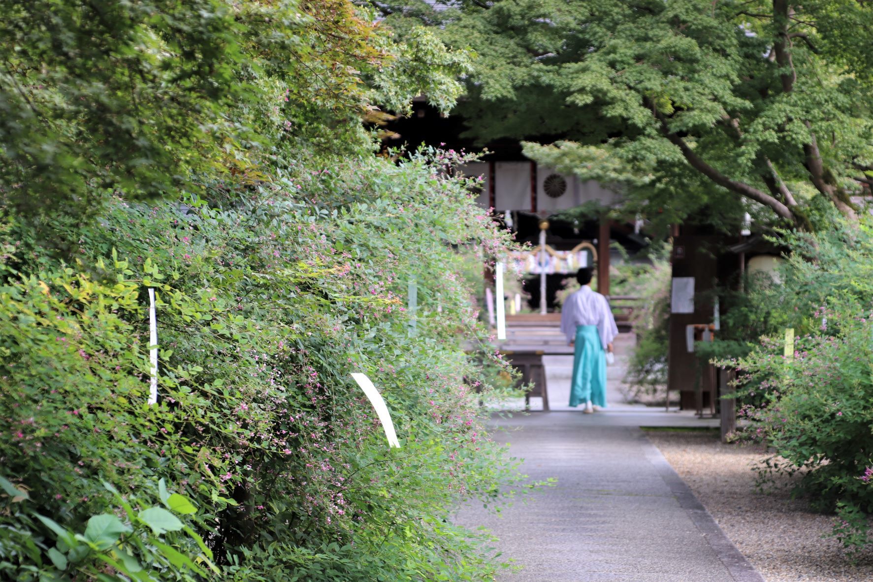 梨木神社　萩の社_e0048413_21572275.jpg