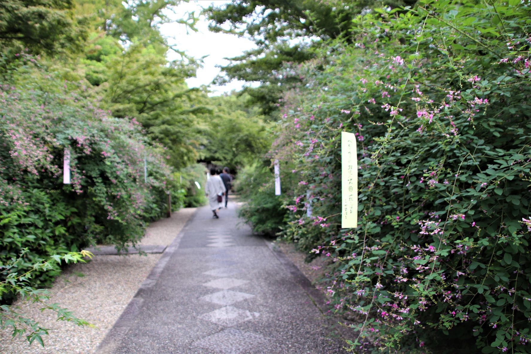 梨木神社　萩の社_e0048413_21573096.jpg