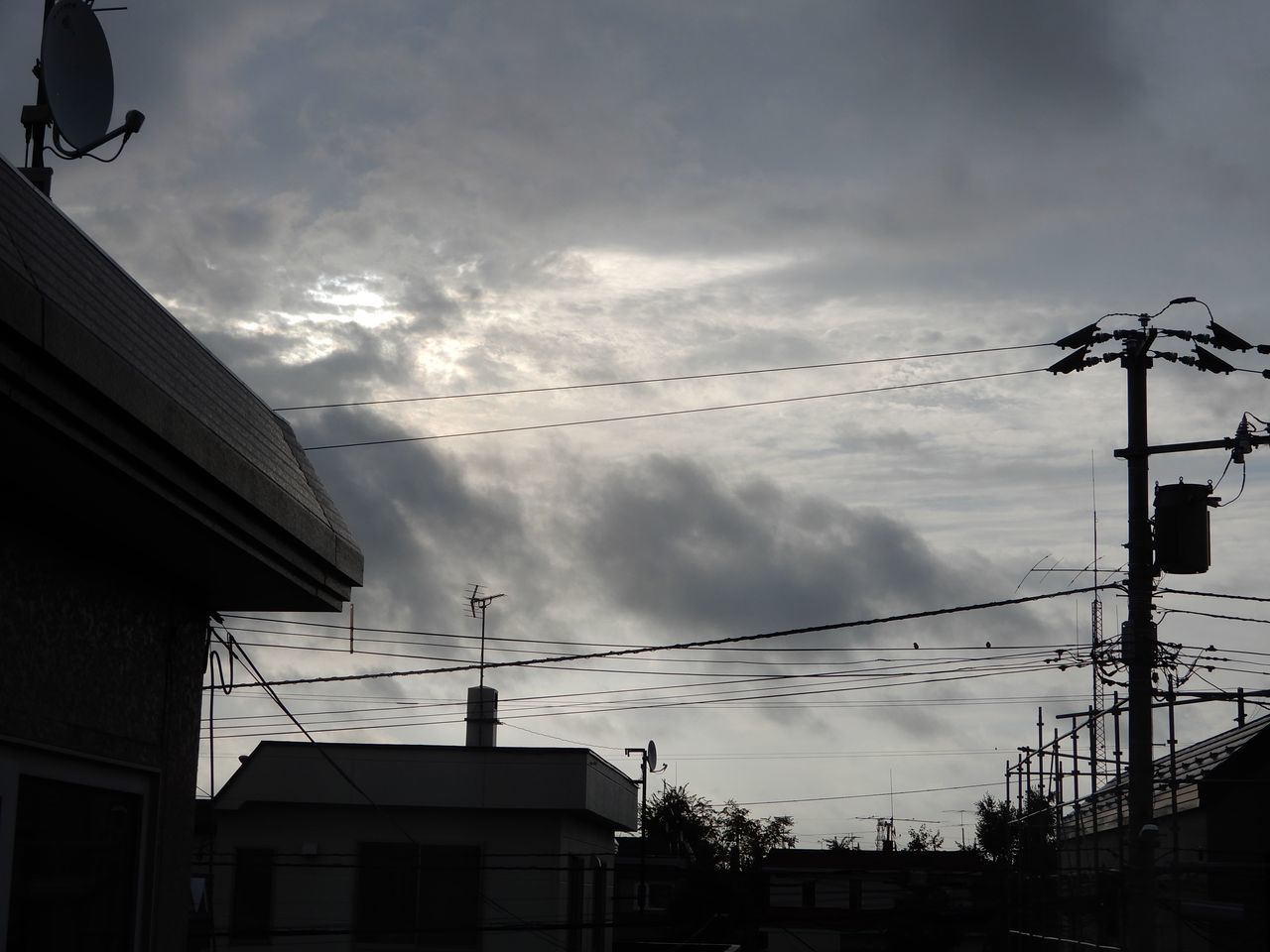 久しぶりに雨らしい雨が降りました_c0025115_21451748.jpg