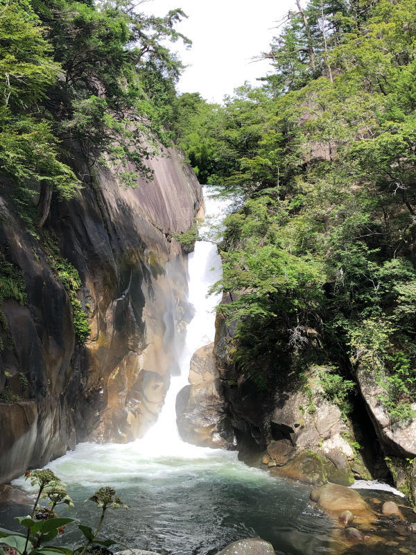 命の洗濯_f0329049_19563388.jpg