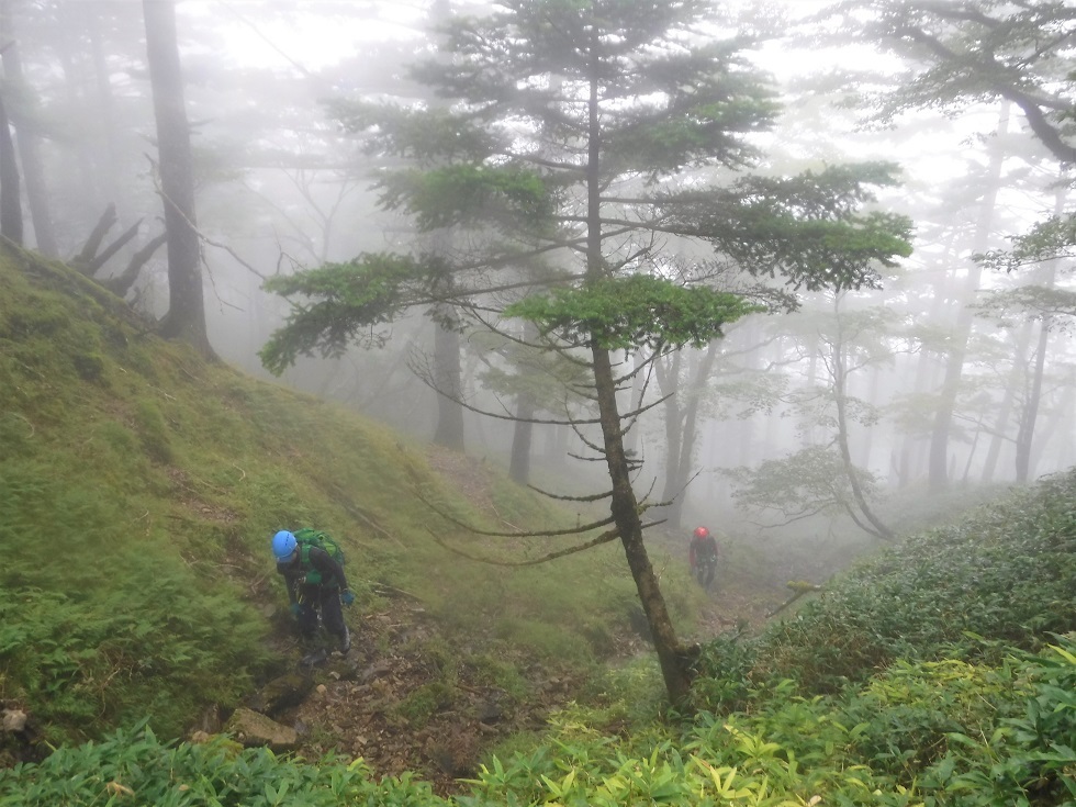 赤井谷から釈迦ヶ岳（大峰山脈）_a0286351_20290583.jpg