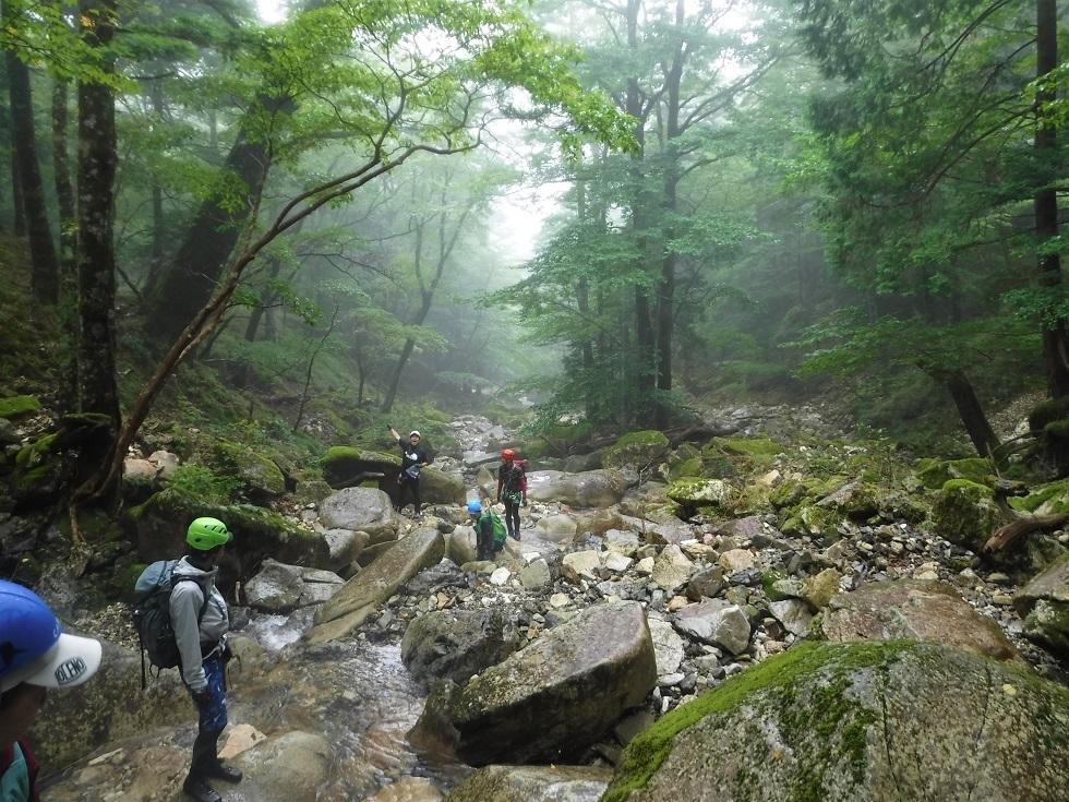 赤井谷から釈迦ヶ岳（大峰山脈）_a0286351_20420181.jpg