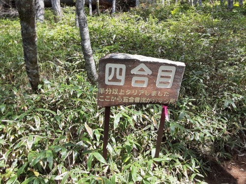 雌阿寒岳と雄阿寒岳へ_d0198793_21520901.jpg