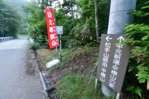 猛暑の東京を脱出して稜線上のお花畑へ～2017年7月 平標山＋仙ノ倉山_d0372906_19110814.jpg