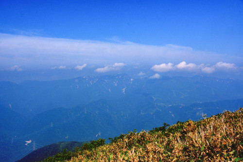 猛暑の東京を脱出して稜線上のお花畑へ～2017年7月 平標山＋仙ノ倉山_d0372906_19393922.jpg