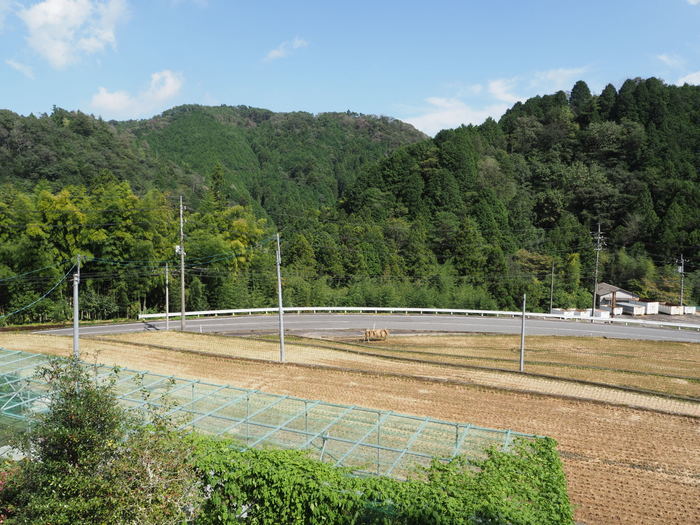 晴れたり曇ったりのち晴れ_c0116915_00020841.jpg