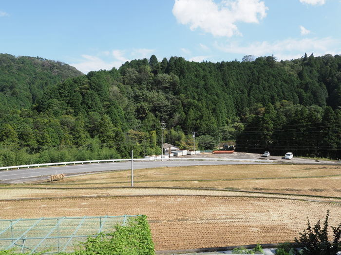 晴れたり曇ったりのち晴れ_c0116915_00021822.jpg