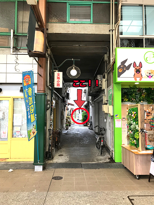 アトリエキースの白い看板を探せ!!_d0402639_15261537.jpg