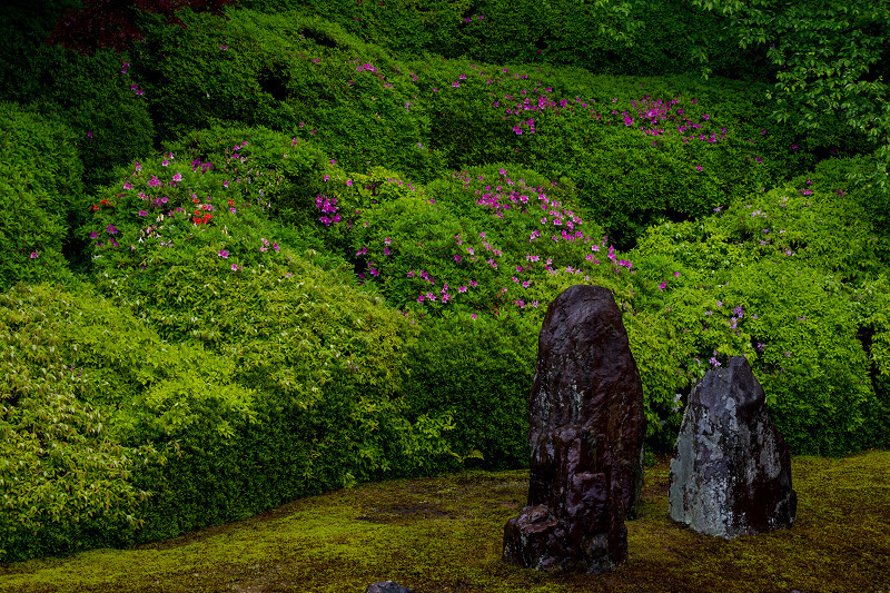 雨中新緑（東福寺塔頭・光明院）_f0155048_21255113.jpg